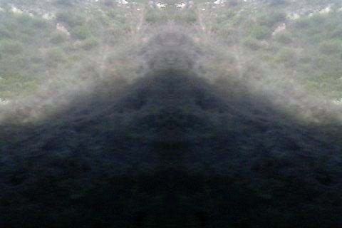 L-F-龍主播照片