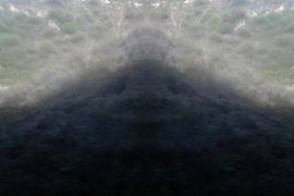 L-F-龍主播照片