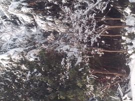 公子风足迹主播照片