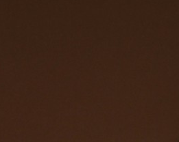 东风不破西风破主播照片