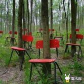 逍遥零点的图片