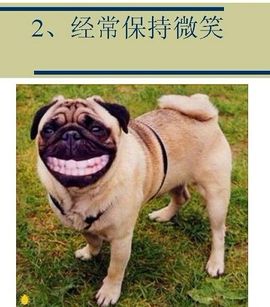 独自じ☆ve默守主播照片