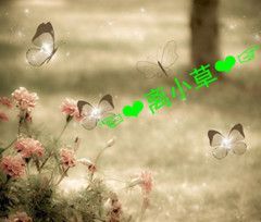 画房间号879898主播照片
