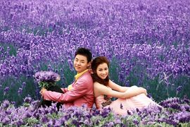 翠被冷落凄余馨主播照片