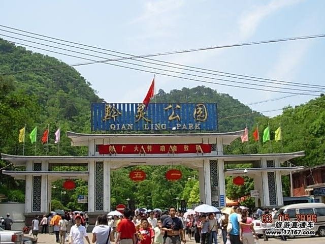 音乐#@无限的主播照片