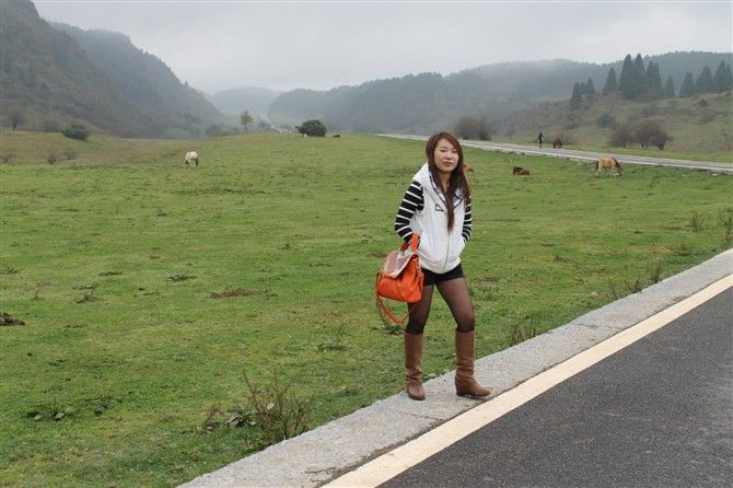 ───╄柳风公主的主播照片