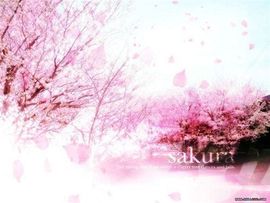 ☜✿ヽ过客、静听☞主播照片