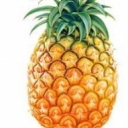 ★★℡阿菠萝²º¹⁴的头像