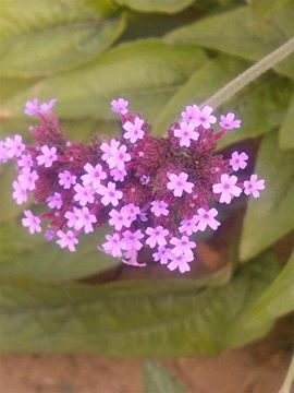 董忆芳主播照片