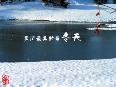 冰山雪龙的主播照片