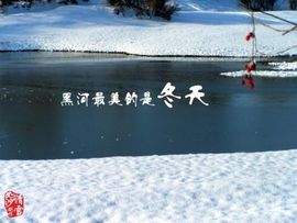 冰山雪龙主播照片