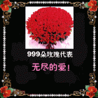 心甘情愿爱你主播照片