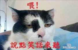 ~☜ღ石班魚ღ☞~主播照片