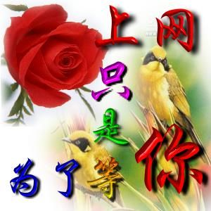哥愛妹妹的主播照片