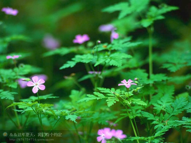 昵称违规，请重新修改的主播照片