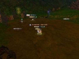 八零的命运主播照片