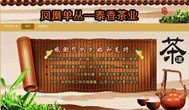 你是爷的马子的主播照片