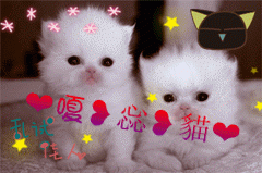 画房间号879898主播照片