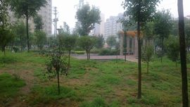 《牛哥》主播照片