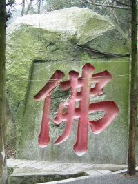 瑞木林莎主播照片
