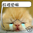 ☜★卡神剑剑☞的主播照片