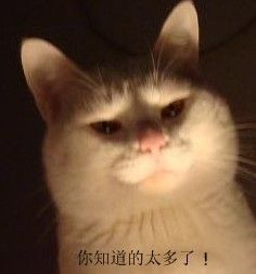 短腿喵(=^ω^=)的主播照片