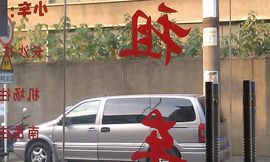 dsqczlgs主播照片