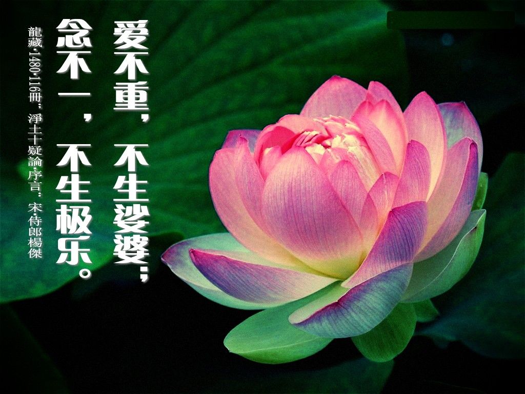 阿弥陀佛!的主播照片