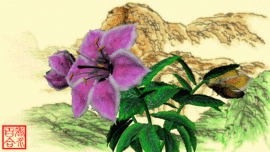 baihe主播照片