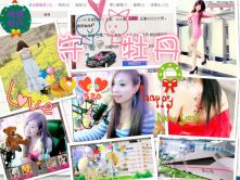 牡丹6万🌹金牌代理的图片