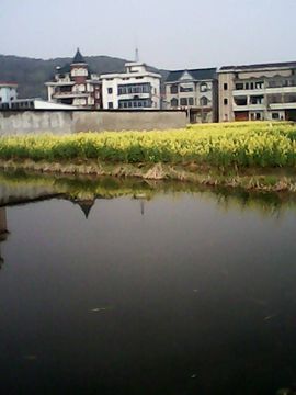 没药了悄悄地死主播照片