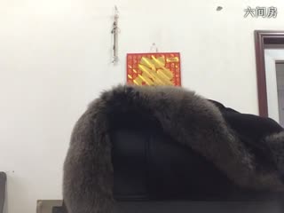房号805064-20151104163141204