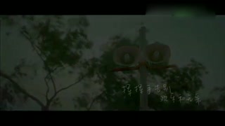 《栀子花开》主题曲MV 何炅、Angela温暖合体献唱