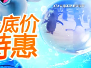 春夏秋冬，与你相约全景浪漫大连圣亚