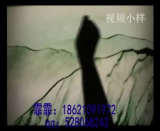 福州新颖炫彩