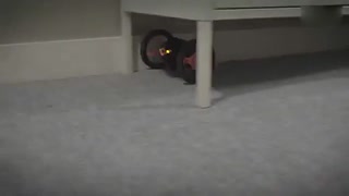 我有独特的拿零食方法