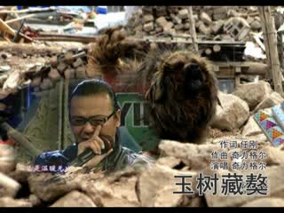 玉树藏獒 MV