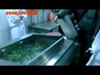 TW-2万能洗菜机-974.flv
