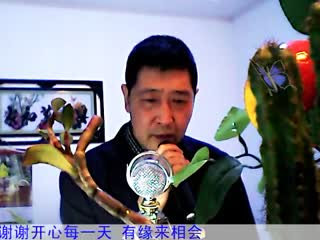 20151214170946062