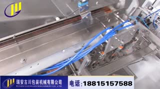豆类食品给袋式包装机