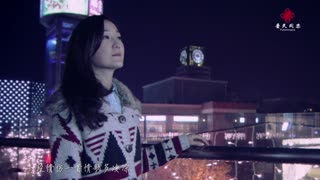 龙梅子 - 一段情歌一段伤