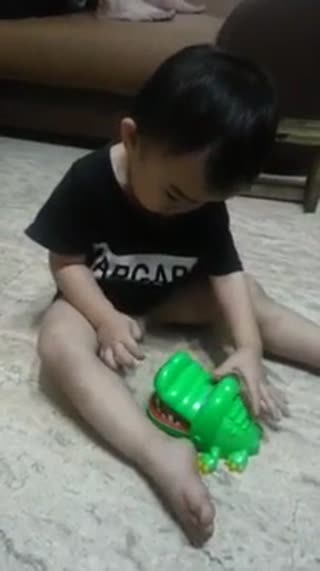 原来小鳄鱼还可以这样玩，简直吓得我魂飞魄散......