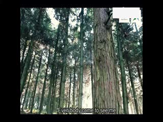 带着大熊去火星(marsgirl正式版）.flv