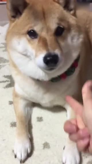 把枪放下