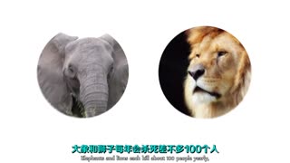 杀人生物！