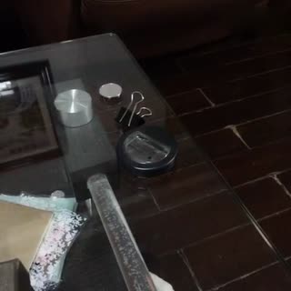 家里有个这么爱清洁桌面也是头疼……每天弯腰拾东西的次数很频繁……犯人就是她！