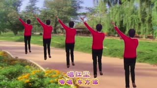 东方健广场舞 唱红尘 东方健婉君