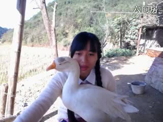 六间房最火主播东方不败哪 在线交友聊天