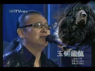 玉树藏獒 MV