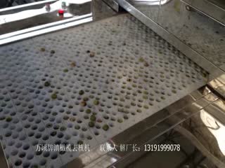 滇橄榄去核机-余甘子去核机